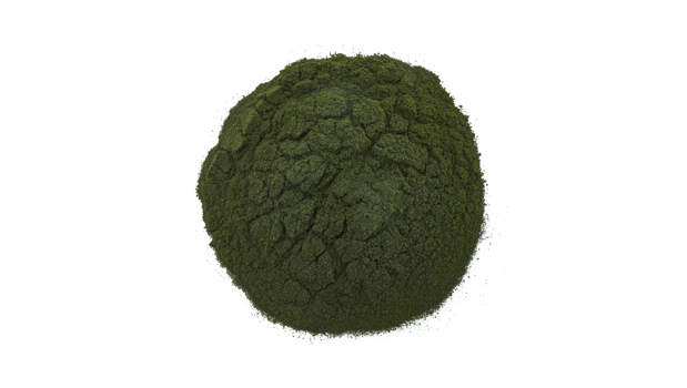 Chlorella powder.