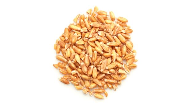 Organic spelt grain.


It is a raw agriculture product. Although it has been mechanically cleaned before packaging, some foreign material may be present. Sort & wash before using.