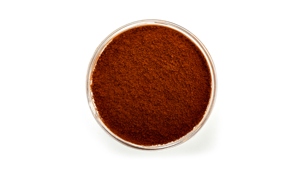 Poudre de chaga bio