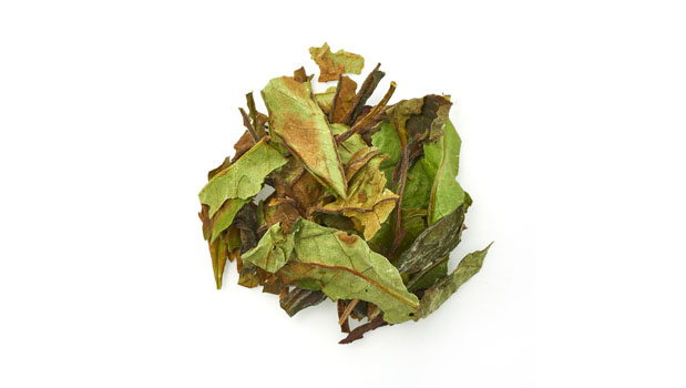 Organic white tea bai mu dan whole.