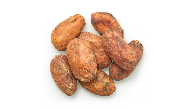 Organic cacao beans.